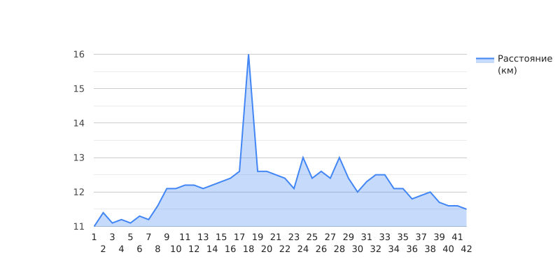 Все пробежки за 2024 год