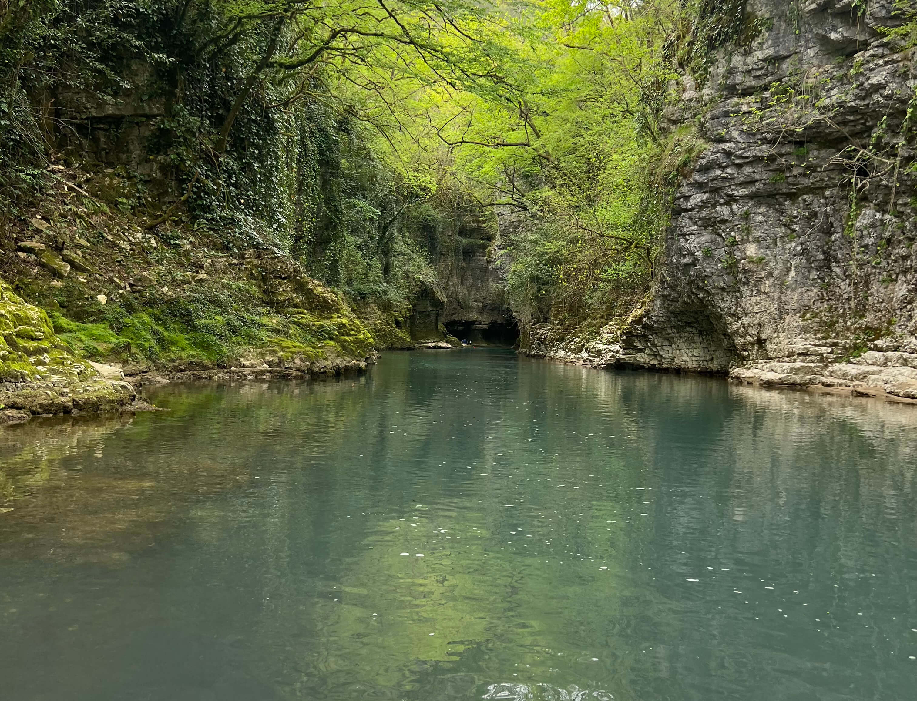 Природа Грузии